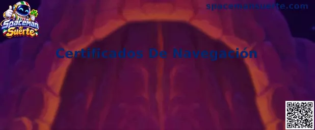 Certificados De Navegación y seguridad SSL TLS