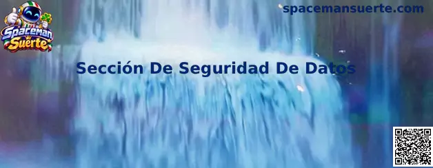 Guía de Spaceman Suerte para revisar la Sección De Seguridad De Datos